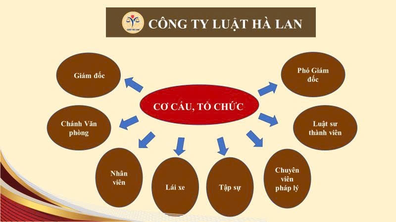 Cơ cấu, tổ chức Công ty Luật Hà Lan