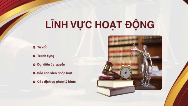 Lĩnh vực hoạt động