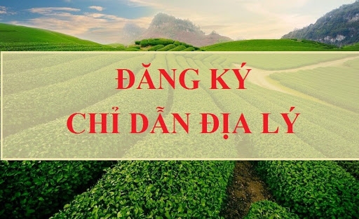 Dịch vụ đăng ký bảo hộ độc quyền chỉ dẫn địa lý